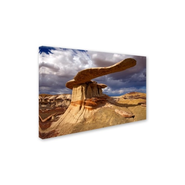 Mike Jones Photo 'NM Ah-shi-sle-pah King Of Wings' Canvas Art,22x32